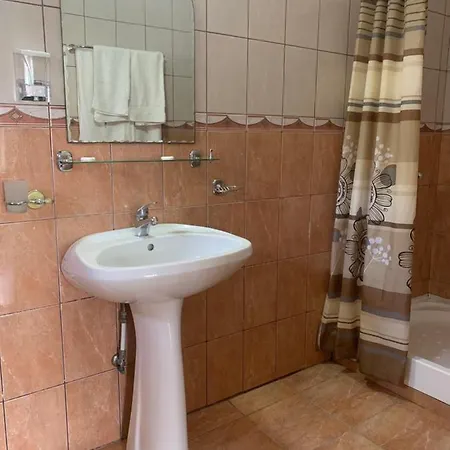 Гостевой дом Casa Horia Костинешти